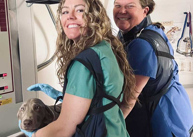 Carousel Slide 7: Digital radiology